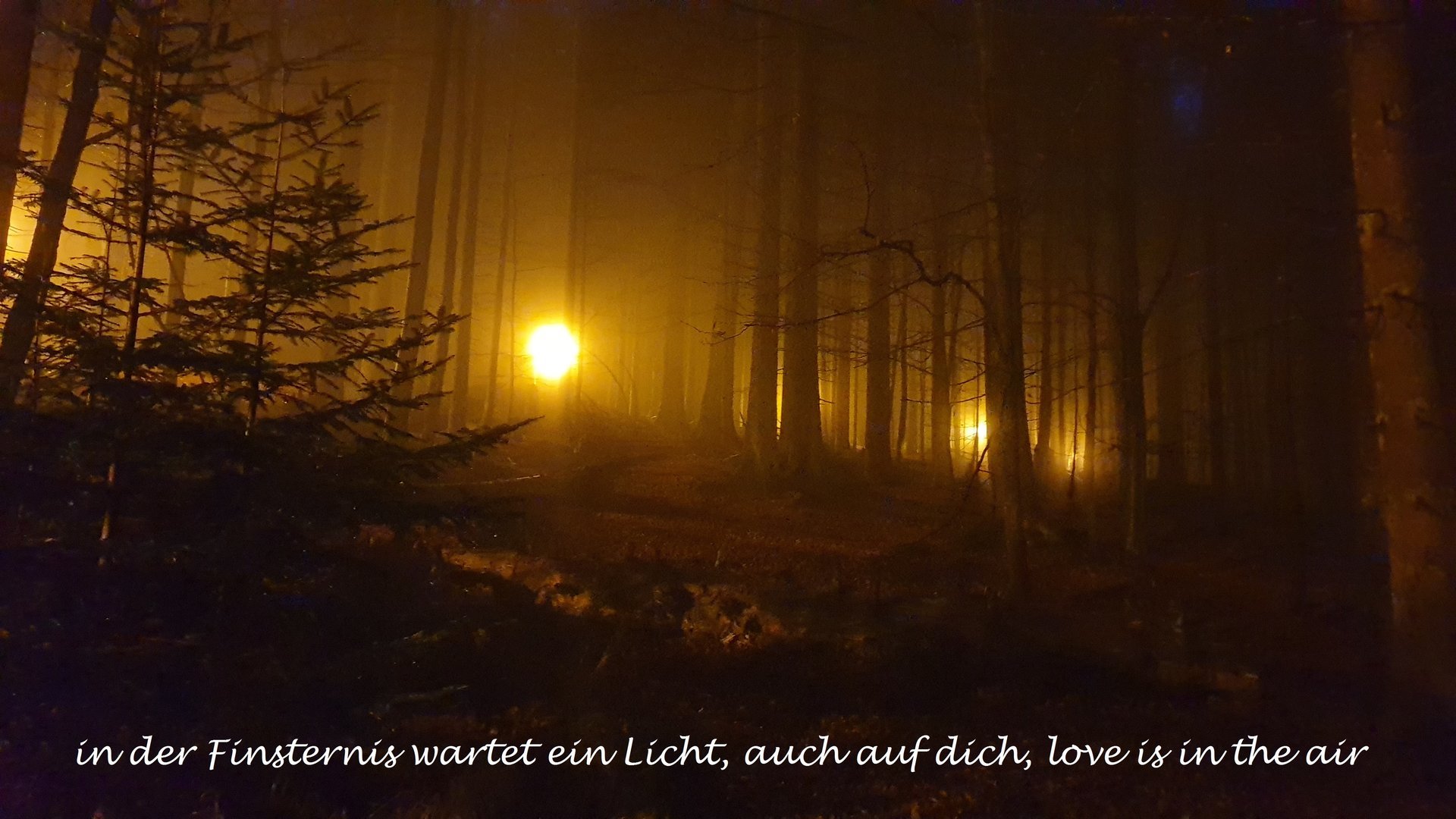 Text im Bild — Stefan vom Scheidt